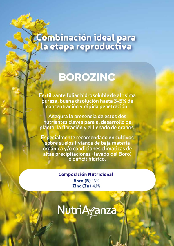 BOROZINC NUTRIAVANZA