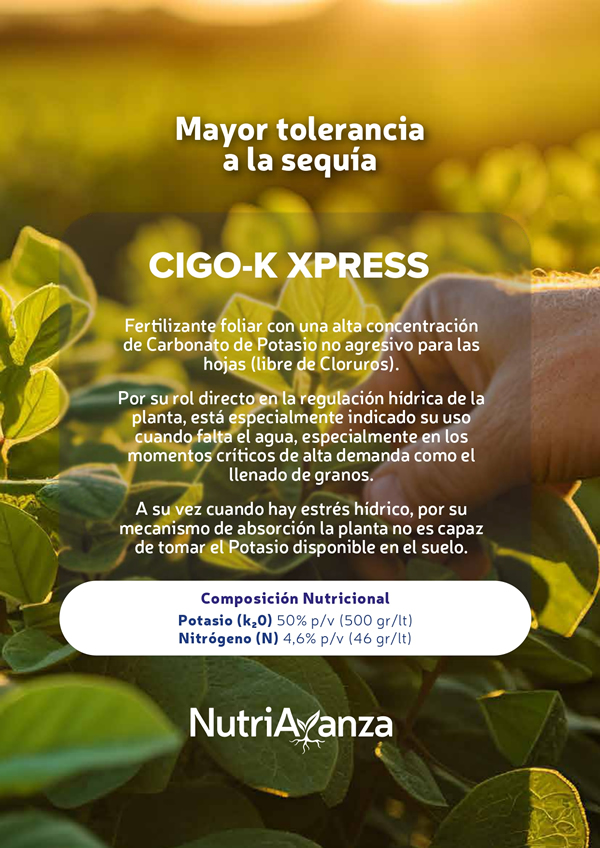CIGO-K EXPRESS NUTRIAVANZA