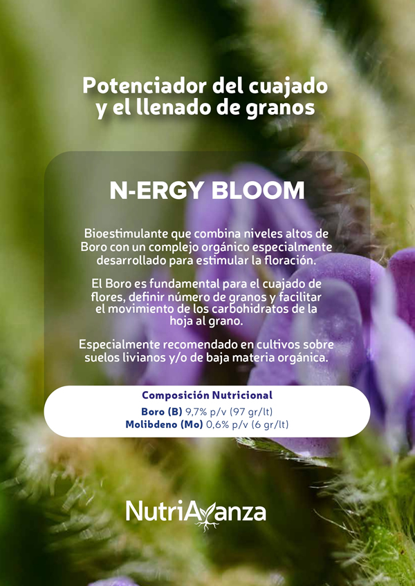 N-ERGY BLOOM NUTRIAVANZA